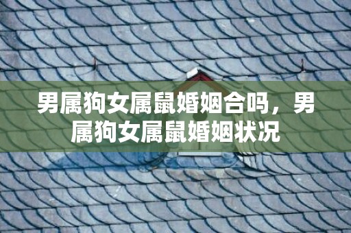 男属狗女属鼠婚姻合吗，男属狗女属鼠婚姻状况