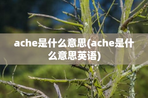 ache是什么意思(ache是什么意思英语)