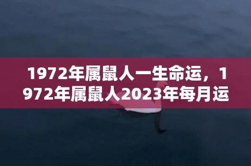 1972年属鼠人一生命运，1972年属鼠人2023年每月运势运程
