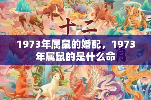1973年属鼠的婚配，1973年属鼠的是什么命
