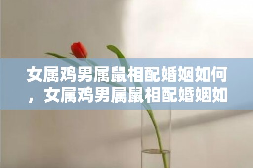 女属鸡男属鼠相配婚姻如何，女属鸡男属鼠相配婚姻如何