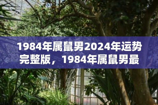 1984年属鼠男2024年运势完整版，1984年属鼠男最佳婚配