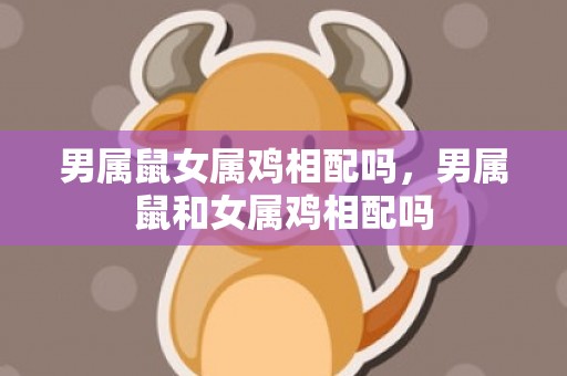 男属鼠女属鸡相配吗，男属鼠和女属鸡相配吗