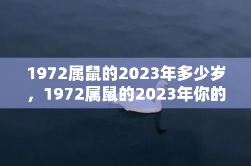 1972属鼠的2023年多少岁，1972属鼠的2023年你的财运
