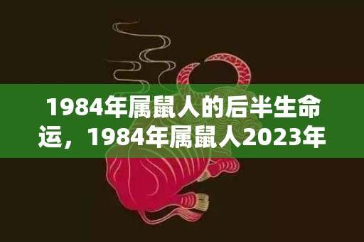 1984年属鼠人的后半生命运，1984年属鼠人2023年感情