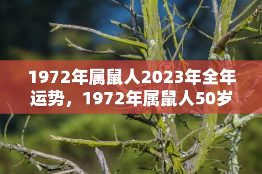 1972年属鼠人2023年全年运势，1972年属鼠人50岁到55岁命运