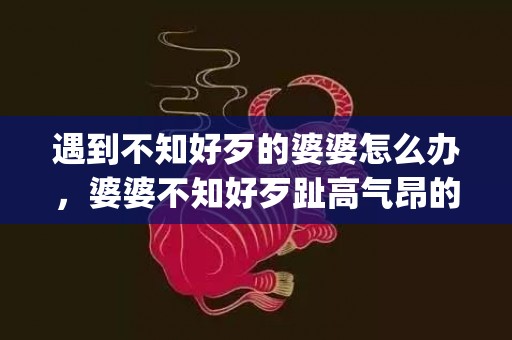 遇到不知好歹的婆婆怎么办，婆婆不知好歹趾高气昂的说说(婆家不知好歹不明事理)