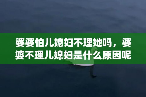 婆婆怕儿媳妇不理她吗，婆婆不理儿媳妇是什么原因呢(原来儿媳妇对婆婆不好都是有原因的)
