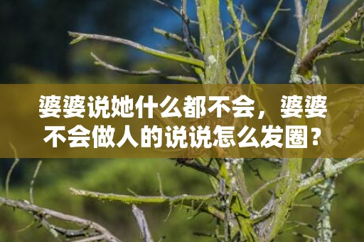 婆婆说她什么都不会，婆婆不会做人的说说怎么发圈？针对婆婆的朋友圈说说