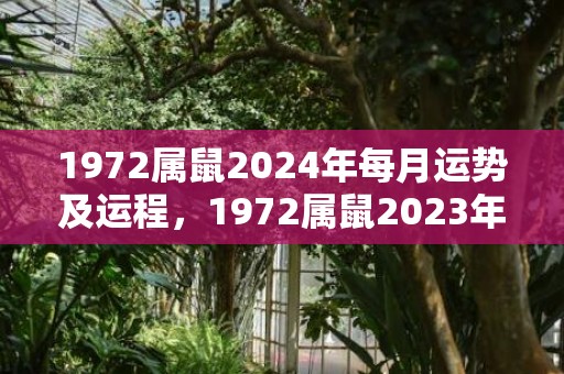 1972属鼠2024年每月运势及运程，1972属鼠2023年每月运程