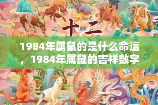 1984年属鼠的是什么命运，1984年属鼠的吉祥数字