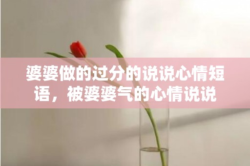 婆婆做的过分的说说心情短语，被婆婆气的心情说说