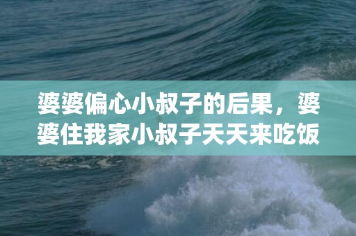 婆婆偏心小叔子的后果，婆婆住我家小叔子天天来吃饭(婆婆总叫小叔子吃饭)