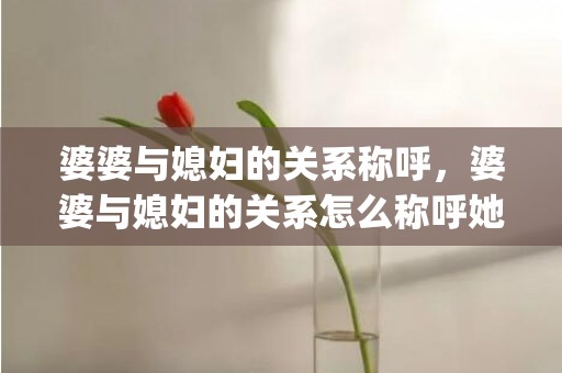 婆婆与媳妇的关系称呼，婆婆与媳妇的关系怎么称呼她(婆婆都怎么称呼儿媳妇)
