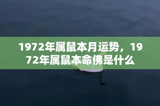 1972年属鼠本月运势，1972年属鼠本命佛是什么