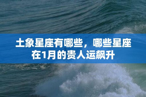 土象星座有哪些，哪些星座在1月的贵人运飙升