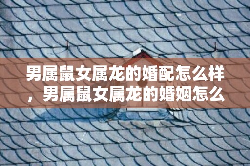 男属鼠女属龙的婚配怎么样，男属鼠女属龙的婚姻怎么样