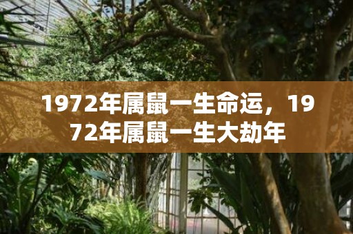 1972年属鼠一生命运，1972年属鼠一生大劫年