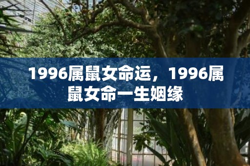 1996属鼠女命运，1996属鼠女命一生姻缘