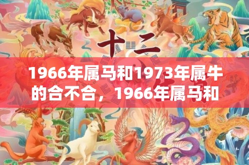 1966年属马和1973年属牛的合不合，1966年属马和1972年鼠合不合
