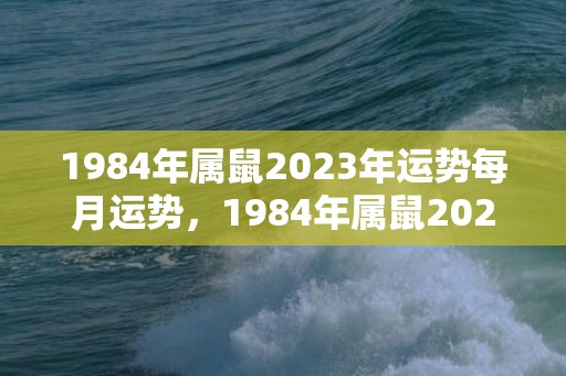 1984年属鼠2023年运势每月运势，1984年属鼠2023年虚岁多少