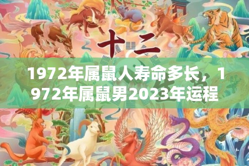 1972年属鼠人寿命多长，1972年属鼠男2023年运程