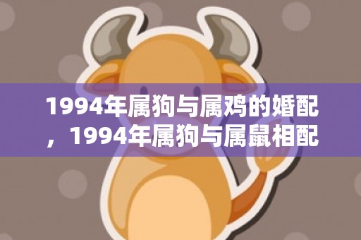 1994年属狗与属鸡的婚配，1994年属狗与属鼠相配吗