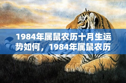 1984年属鼠农历十月生运势如何，1984年属鼠农历二月是什么命