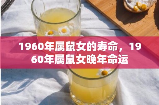 1960年属鼠女的寿命，1960年属鼠女晚年命运