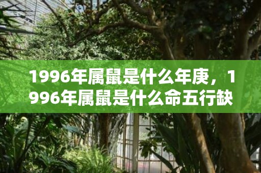 1996年属鼠是什么年庚，1996年属鼠是什么命五行缺什么