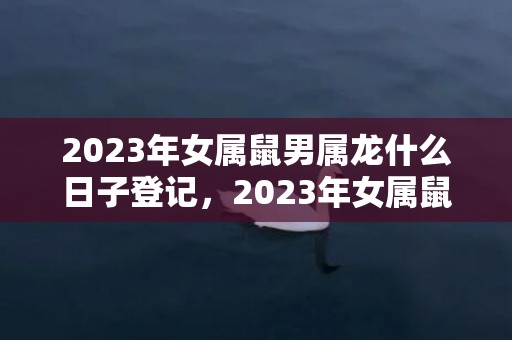 2023年女属鼠男属龙什么日子登记，2023年女属鼠人的全年运势