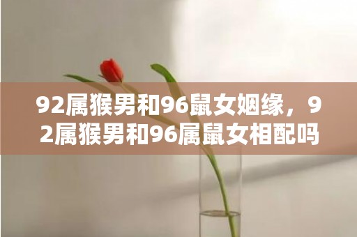 92属猴男和96鼠女姻缘，92属猴男和96属鼠女相配吗