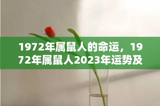 1972年属鼠人的命运，1972年属鼠人2023年运势及运程男
