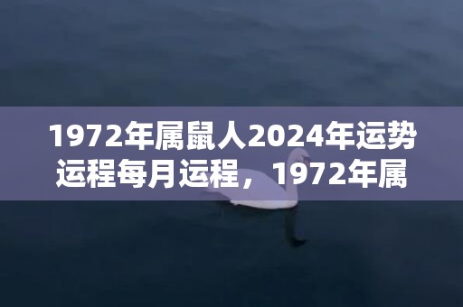 1972年属鼠人2024年运势运程每月运程，1972年属鼠人2023年每月运程