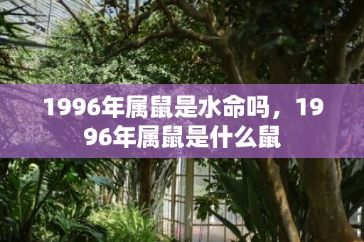 1996年属鼠是水命吗，1996年属鼠是什么鼠
