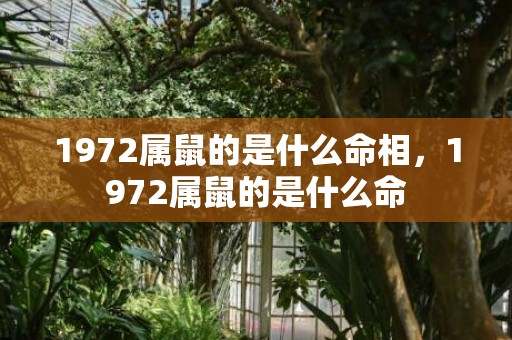 1972属鼠的是什么命相，1972属鼠的是什么命