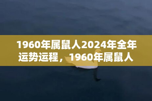 1960年属鼠人2024年全年运势运程，1960年属鼠人命运
