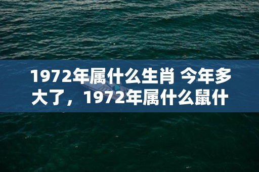 1972年属什么生肖 今年多大了，1972年属什么鼠什么命