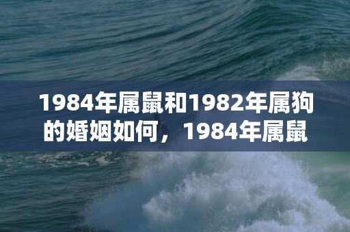 1984年属鼠和1982年属狗的婚姻如何，1984年属鼠和1978年属马合不合