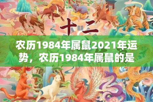 农历1984年属鼠2021年运势，农历1984年属鼠的是什么命