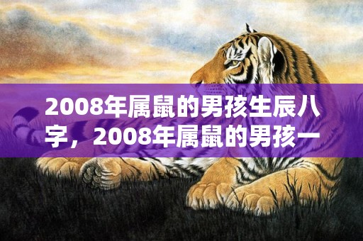2008年属鼠的男孩生辰八字，2008年属鼠的男孩一生的命运