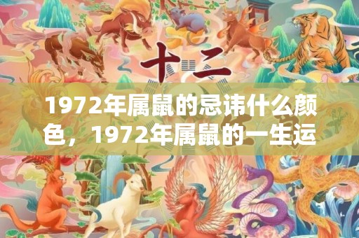 1972年属鼠的忌讳什么颜色，1972年属鼠的一生运程