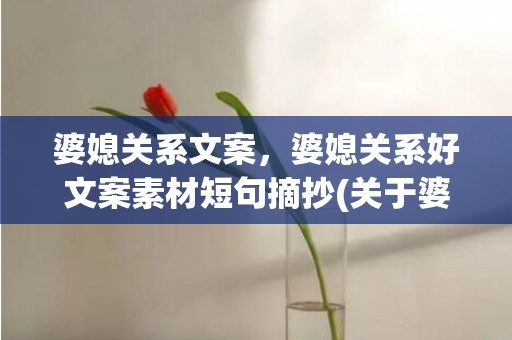 婆媳关系文案，婆媳关系好文案素材短句摘抄(关于婆媳关系的情感文案)