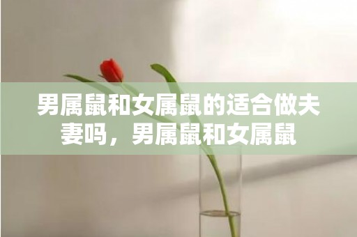 男属鼠和女属鼠的适合做夫妻吗，男属鼠和女属鼠