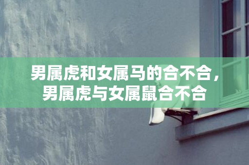 男属虎和女属马的合不合，男属虎与女属鼠合不合