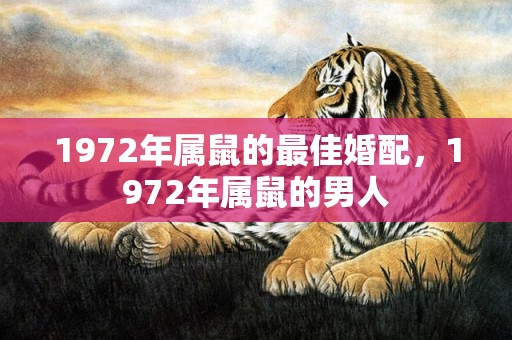 1972年属鼠的最佳婚配，1972年属鼠的男人