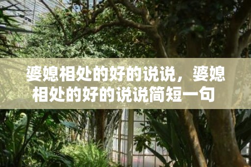 婆媳相处的好的说说，婆媳相处的好的说说简短一句 婆媳之间的说说短句将心比心