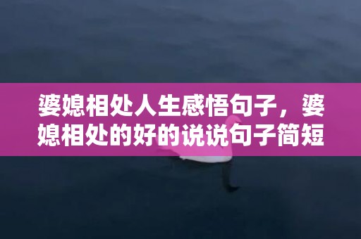 婆媳相处人生感悟句子，婆媳相处的好的说说句子简短，赞美婆媳融洽的句子