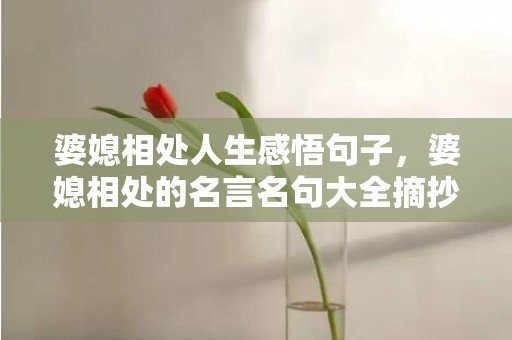 婆媳相处人生感悟句子，婆媳相处的名言名句大全摘抄？婆媳关系的经典句子