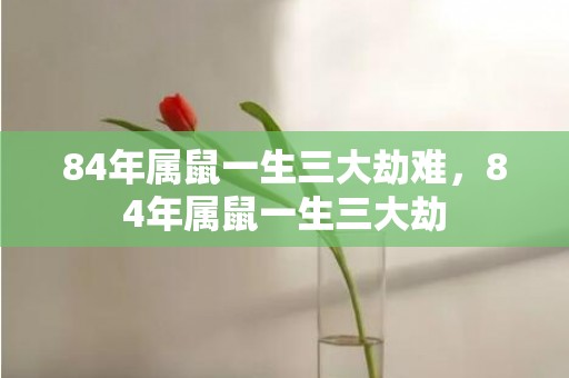 84年属鼠一生三大劫难，84年属鼠一生三大劫
